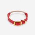 Bild in Galerie-Betrachter laden, Leather & Rope Dog Collar – Terra Collection, Olive | CHOUCHOÚ®