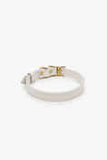 Load image into Gallery viewer, Leather Dog Collar – Classy Collection