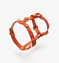 Carica l'immagine nel visualizzatore della galleria, Leather Dog Harness – Classy Collection | CHOUCHOÚ®