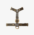 Carica l'immagine nel visualizzatore della galleria, Leather Dog Harness – Classy Collection | CHOUCHOÚ®
