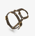 Carica l'immagine nel visualizzatore della galleria, Leather Dog Harness – Classy Collection | CHOUCHOÚ®