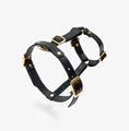 Carica l'immagine nel visualizzatore della galleria, Leather Dog Harness – Classy Collection | CHOUCHOÚ®