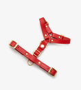 Carica l'immagine nel visualizzatore della galleria, Leather Dog Harness – Classy Collection | CHOUCHOÚ®