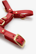Carica l'immagine nel visualizzatore della galleria, Leather Dog Harness – Classy Collection | CHOUCHOÚ®