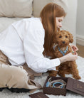 Carica l'immagine nel visualizzatore della galleria, Leather Dog Harness – Classy Collection | CHOUCHOÚ®