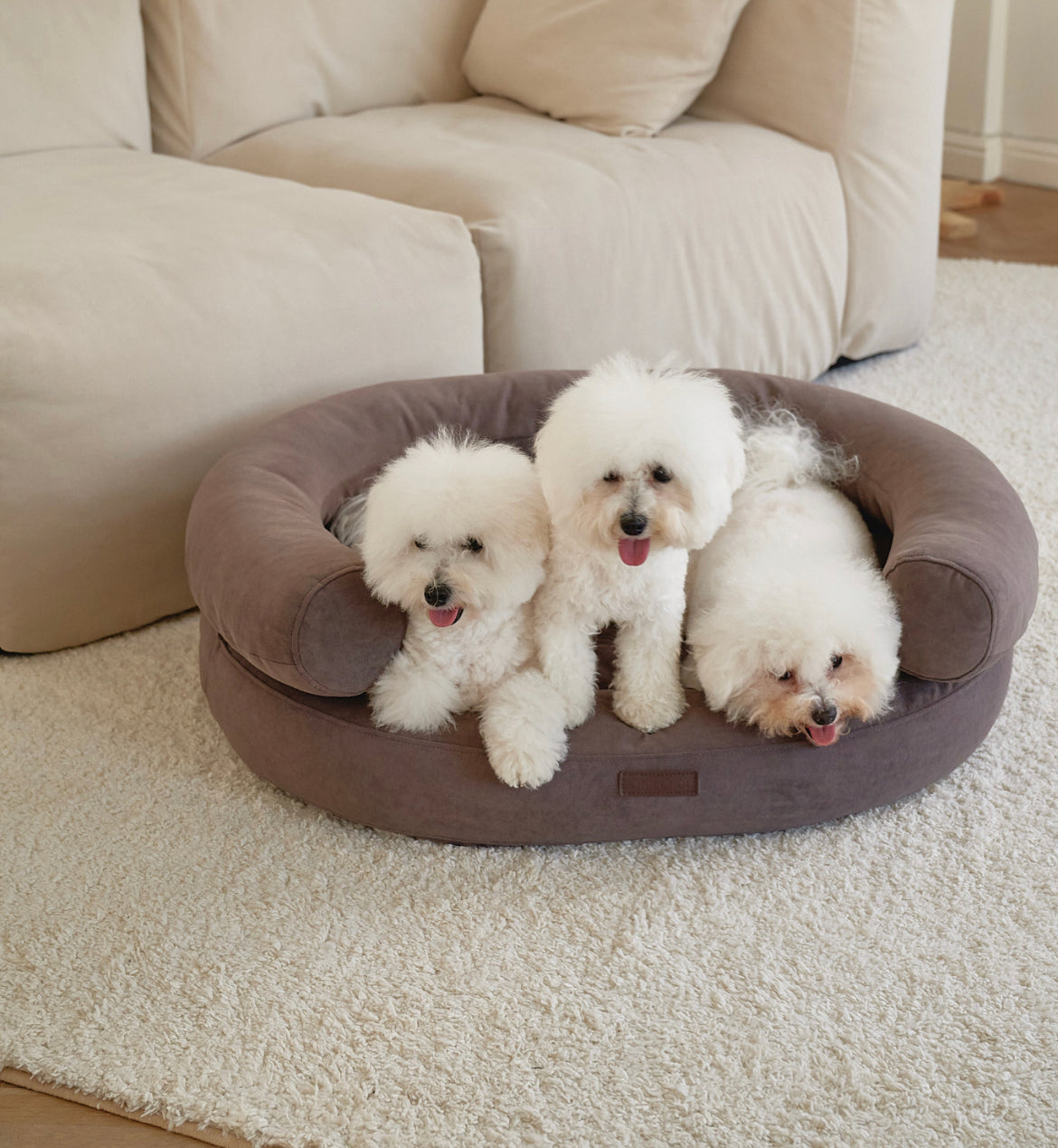 Luxury Orthopedic Dog Bed — Marshmallow Collection — Premium Comfort Pet Bed | CHOUCHOÚ®