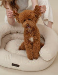 Bild in Galerie-Betrachter laden, Luxury Orthopedic Dog Bed — Marshmallow Collection — Premium Comfort Pet Bed | CHOUCHOÚ®
