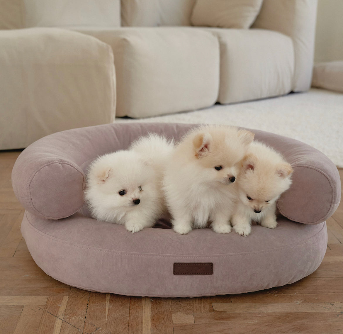 Luxury Orthopedic Dog Bed — Marshmallow Collection — Premium Comfort Pet Bed | CHOUCHOÚ®
