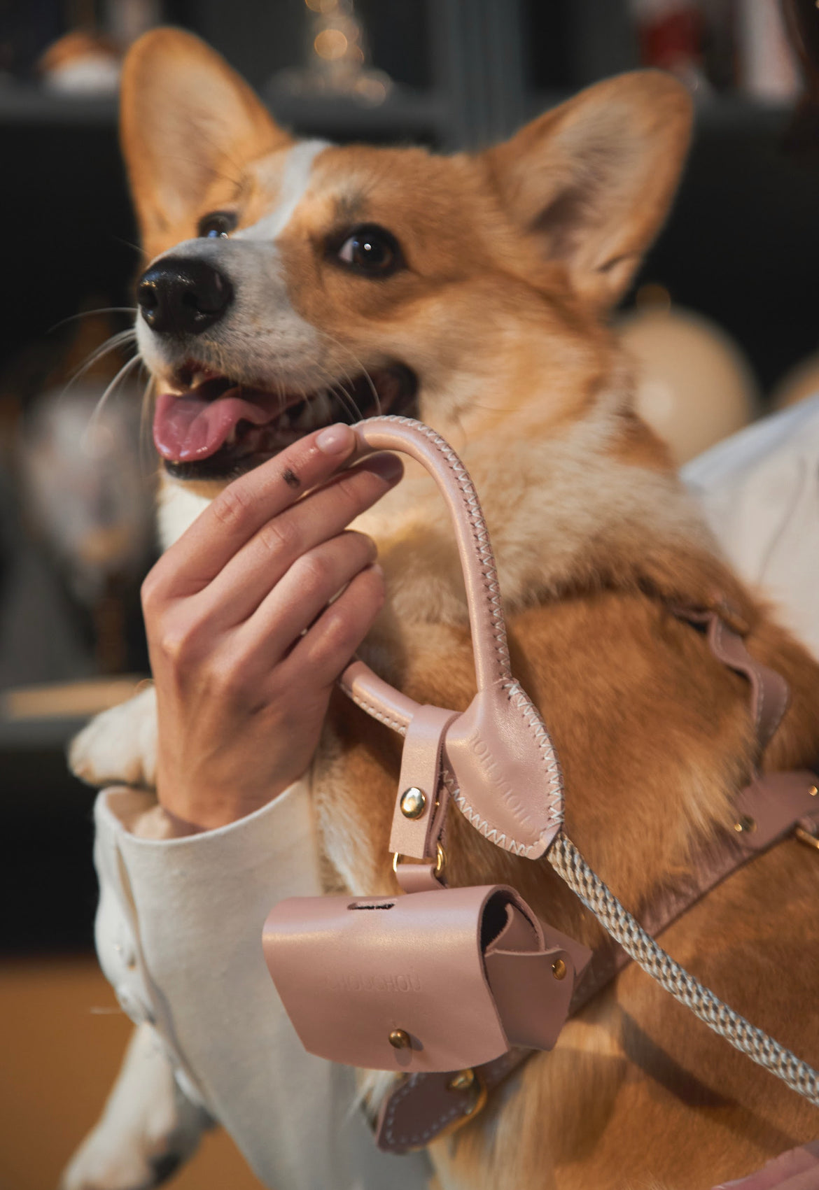 Leather Dog Poop Bag Holder — Classy Collection, Blue | CHOUCHOÚ®