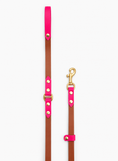 Load image into Gallery viewer, WATERPROOF BIOTHANE DOG LEASH “BIOTHANE BETA” LIMITED
