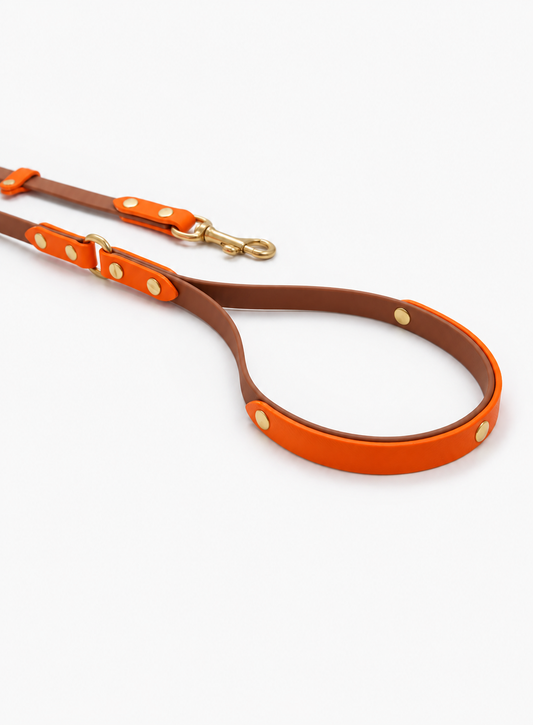 WATERPROOF BIOTHANE DOG LEASH “BIOTHANE BETA” LIMITED