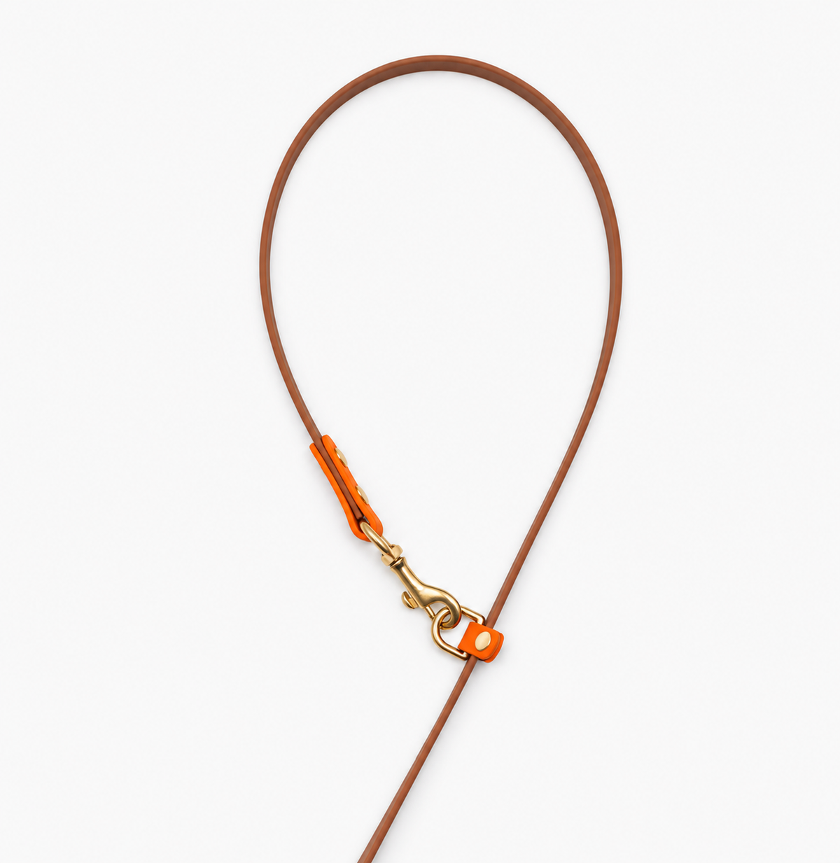 WATERPROOF BIOTHANE DOG LEASH “BIOTHANE BETA” LIMITED — HANDS FREE