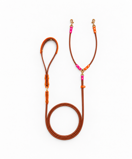 WATERPROOF BIOTHANE DOUBLE DOG LEASH “BIOTHANE BETA” LIMITED