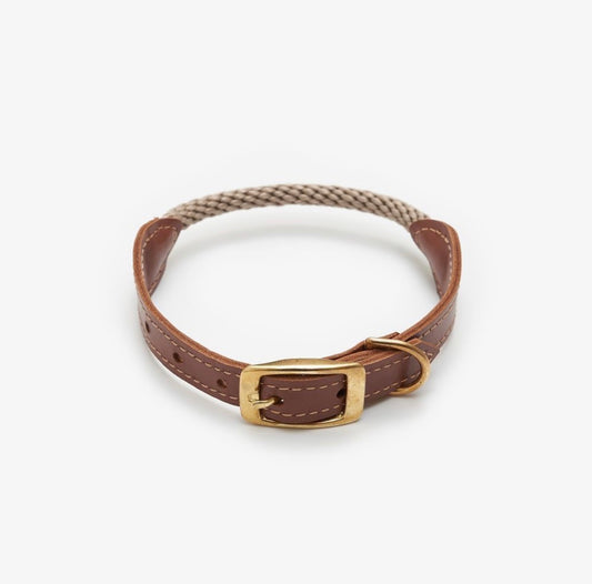 Leather & Rope Dog Collar – Terra Collection, Olive | CHOUCHOÚ®