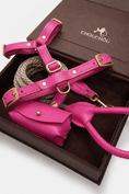 Load image into Gallery viewer, Signature Leather Dog Walking Set — Harness, Leash & Poop Bag Holder
