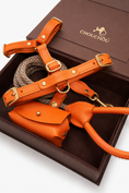 Load image into Gallery viewer, Signature Leather Dog Walking Set — Harness, Leash & Poop Bag Holder
