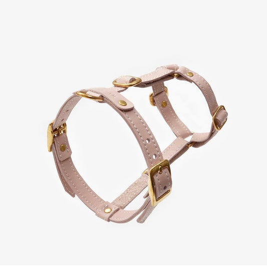 Leather Dog Harness – Classy Collection | CHOUCHOÚ®