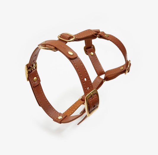 Leather Dog Harness – Classy Collection | CHOUCHOÚ®