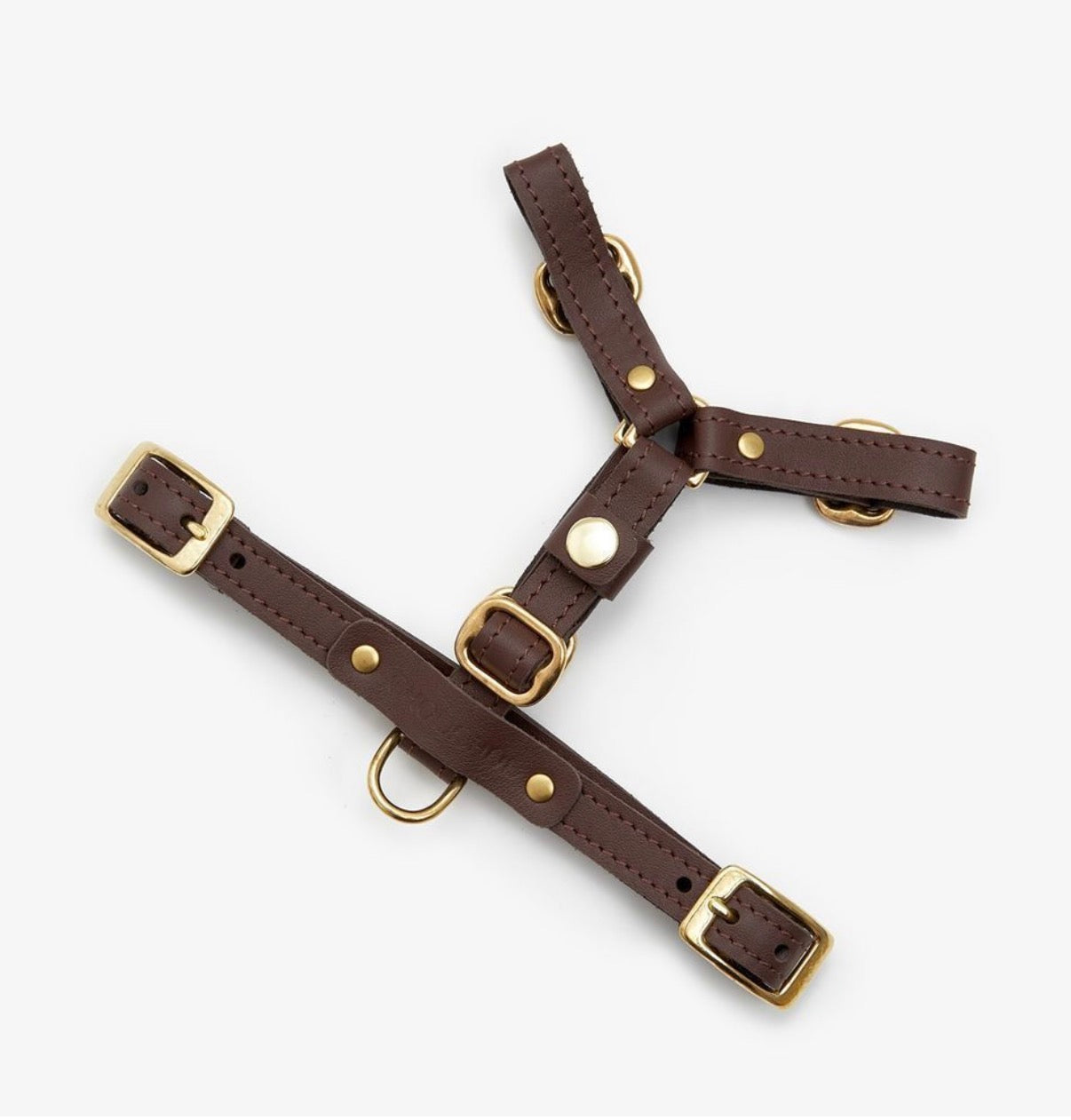 Leather Dog Harness – Classy Collection | CHOUCHOÚ®