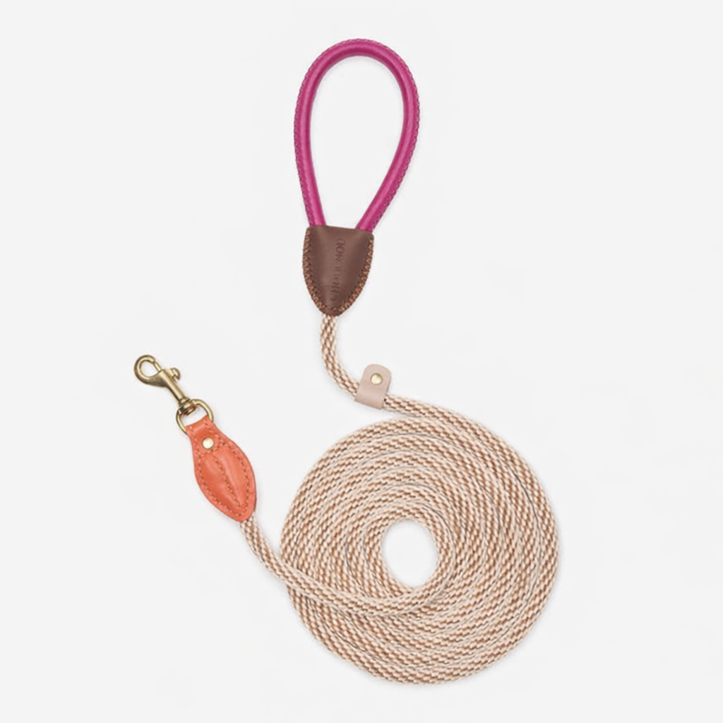 Chromatique Leather Dog Walking Set — Harness, Leash & Poop Bag Holder, Brown | CHOUCHOÚ®