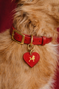 Load image into Gallery viewer, Personalized Dog ID Tags – Custom Engraved Name Tags | CHOUCHOÚ®
