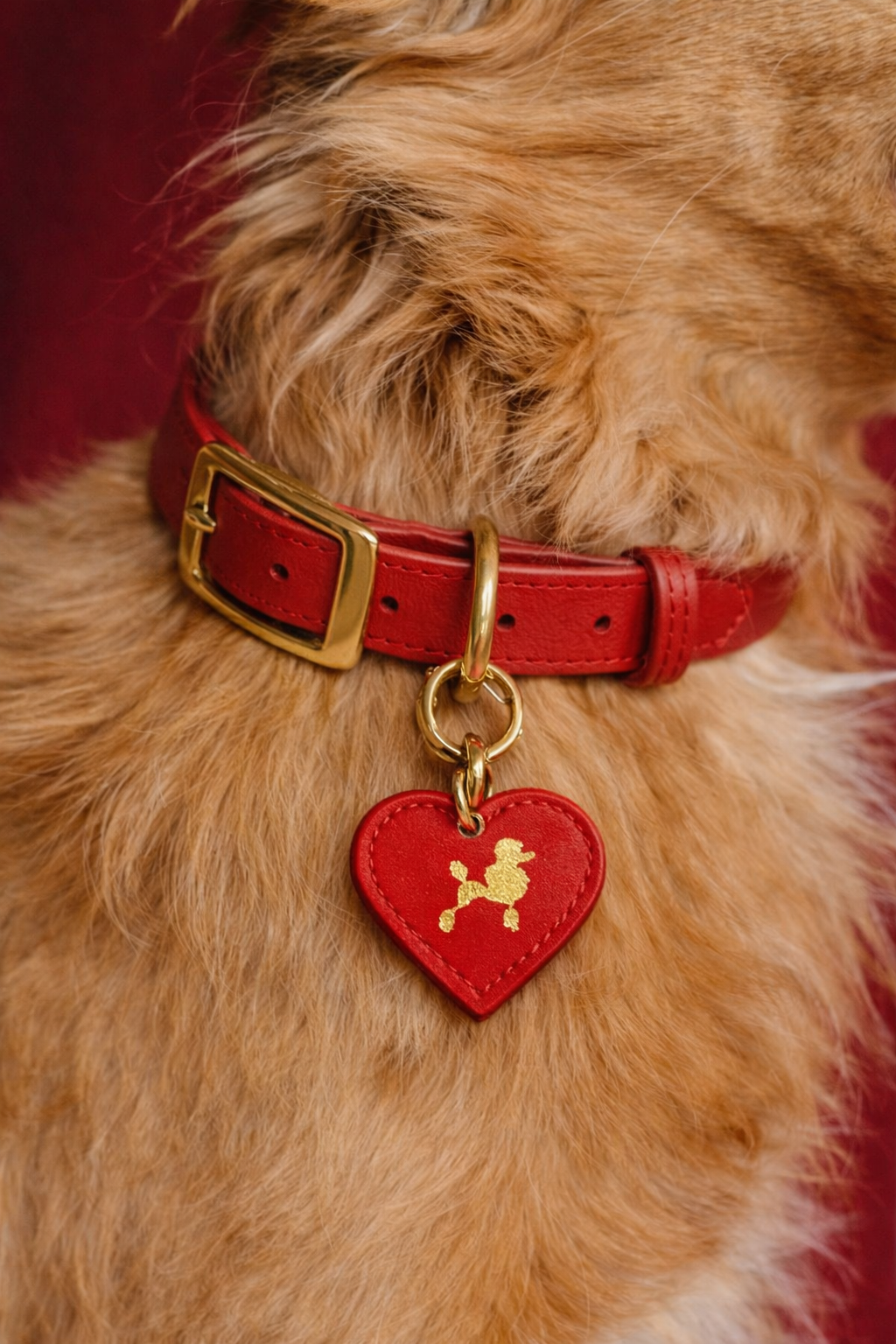 Personalized Dog ID Tags – Custom Engraved Name Tags | CHOUCHOÚ®