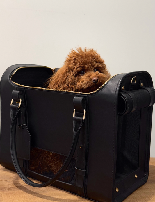 Airline-Approved Leather Dog Carrier (Up to 13 lbs), Luxury Black Travel Bag | CHOUCHOÚ®