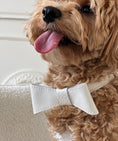 Charger l'image dans la visionneuse de la galerie, Leather bow for dog collar "Caviar" black, CHOUCHOÚ
