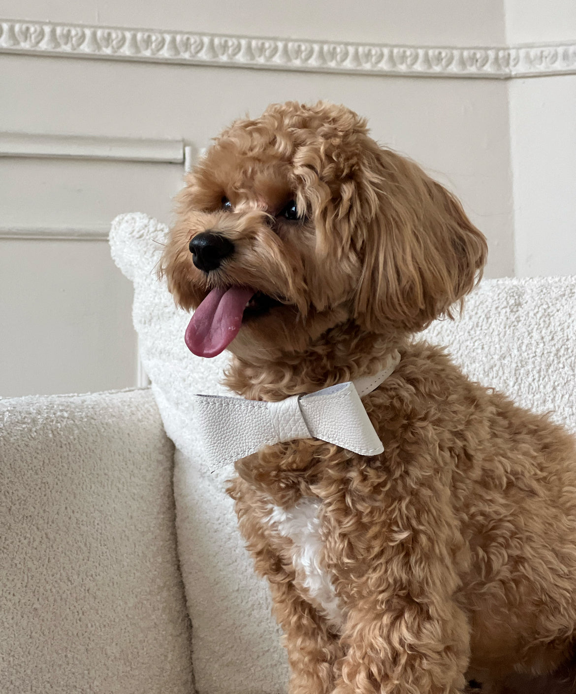 Leather bow for dog collar "Caviar" black, CHOUCHOÚ