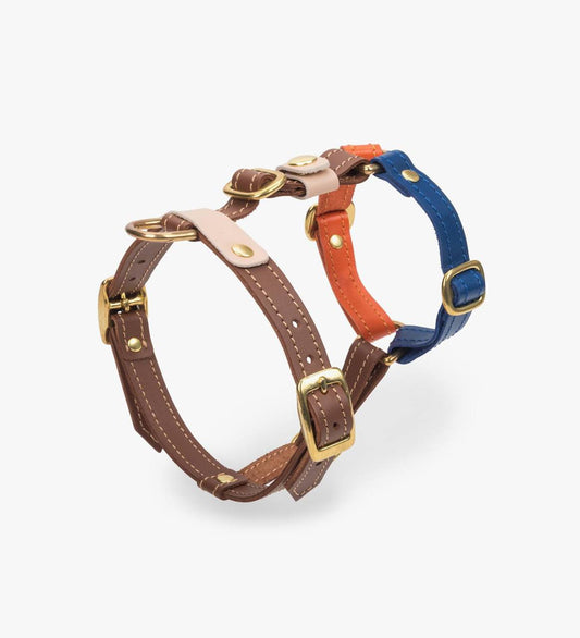 Chromatique Leather Dog Walking Set — Harness, Leash & Poop Bag Holder, Brown | CHOUCHOÚ®