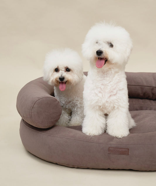 Luxury Orthopedic Dog Bed — Marshmallow Collection — Premium Comfort Pet Bed | CHOUCHOÚ®