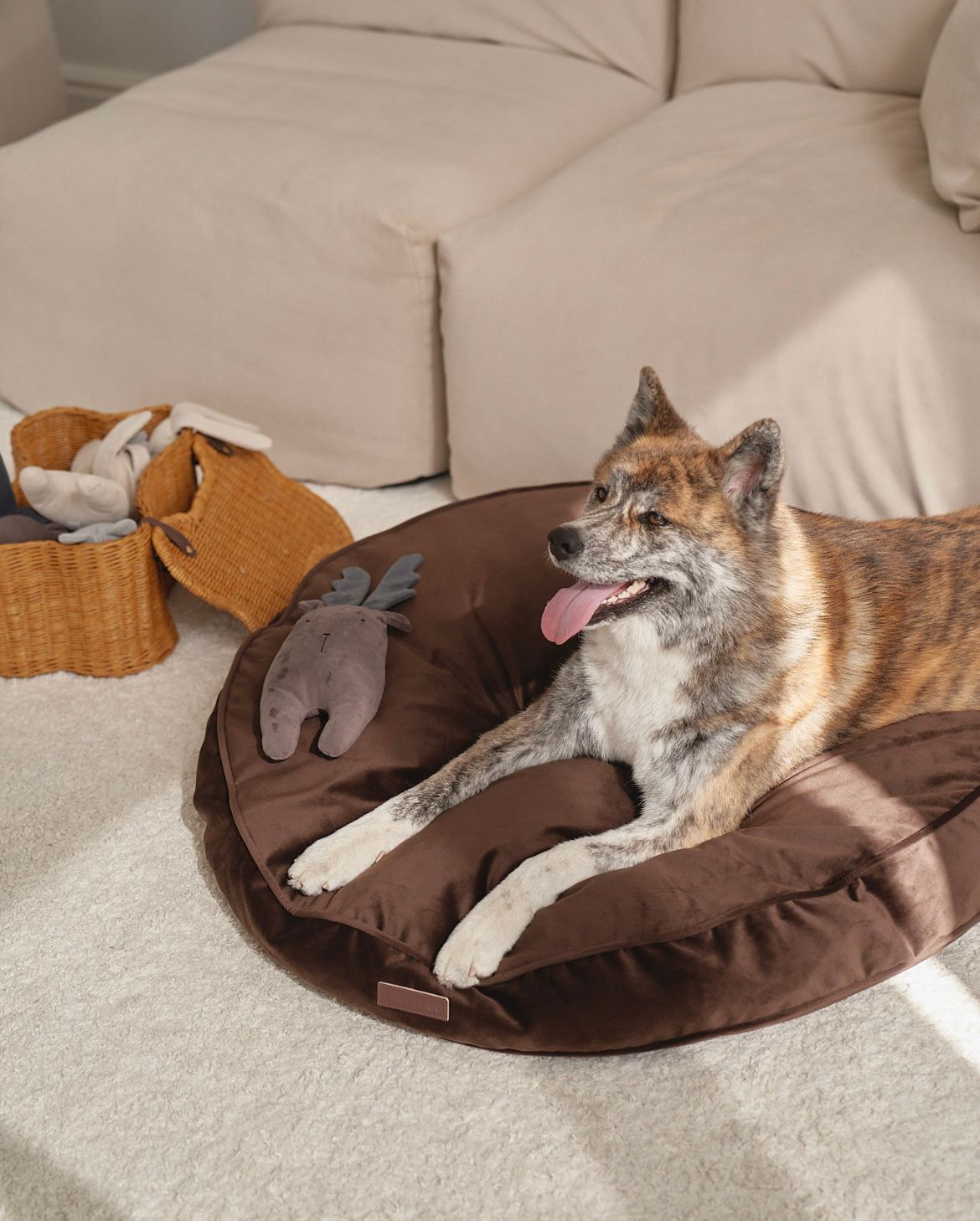 Luxury Orthopedic Dog Bed — Pearl Collection — Premium Comfort Pet Bed | CHOUCHOÚ®