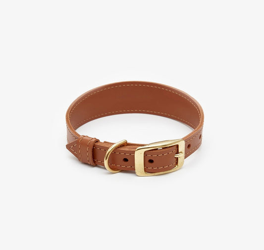 Leather Dog Collar – Almond Collection | CHOUCHOÚ®