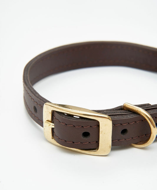Leather Dog Collar – Classy Collection | CHOUCHOÚ®