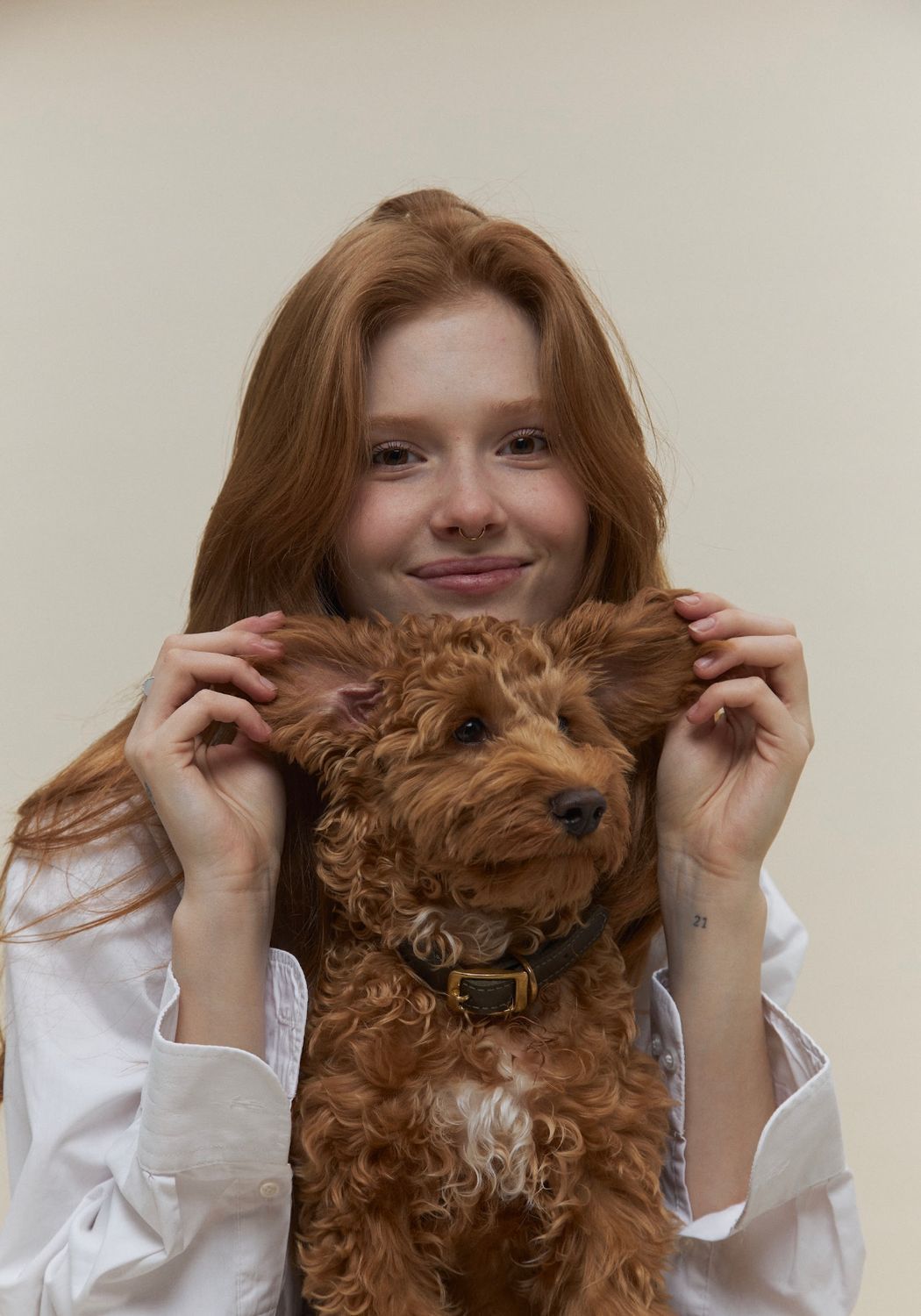 Leather Dog Collar – Classy Collection | CHOUCHOÚ®