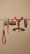 Load image into Gallery viewer, Leather Dog Harness – Chromatique Collection, Blush Pink | CHOUCHOÚ®
