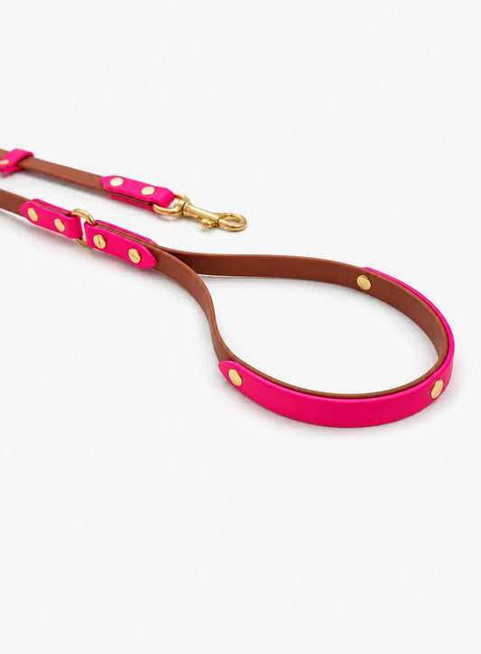 WATERPROOF BIOTHANE DOG LEASH “BIOTHANE BETA” LIMITED