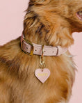 Load image into Gallery viewer, Personalized Dog ID Tags – Custom Engraved Name Tags | CHOUCHOÚ®
