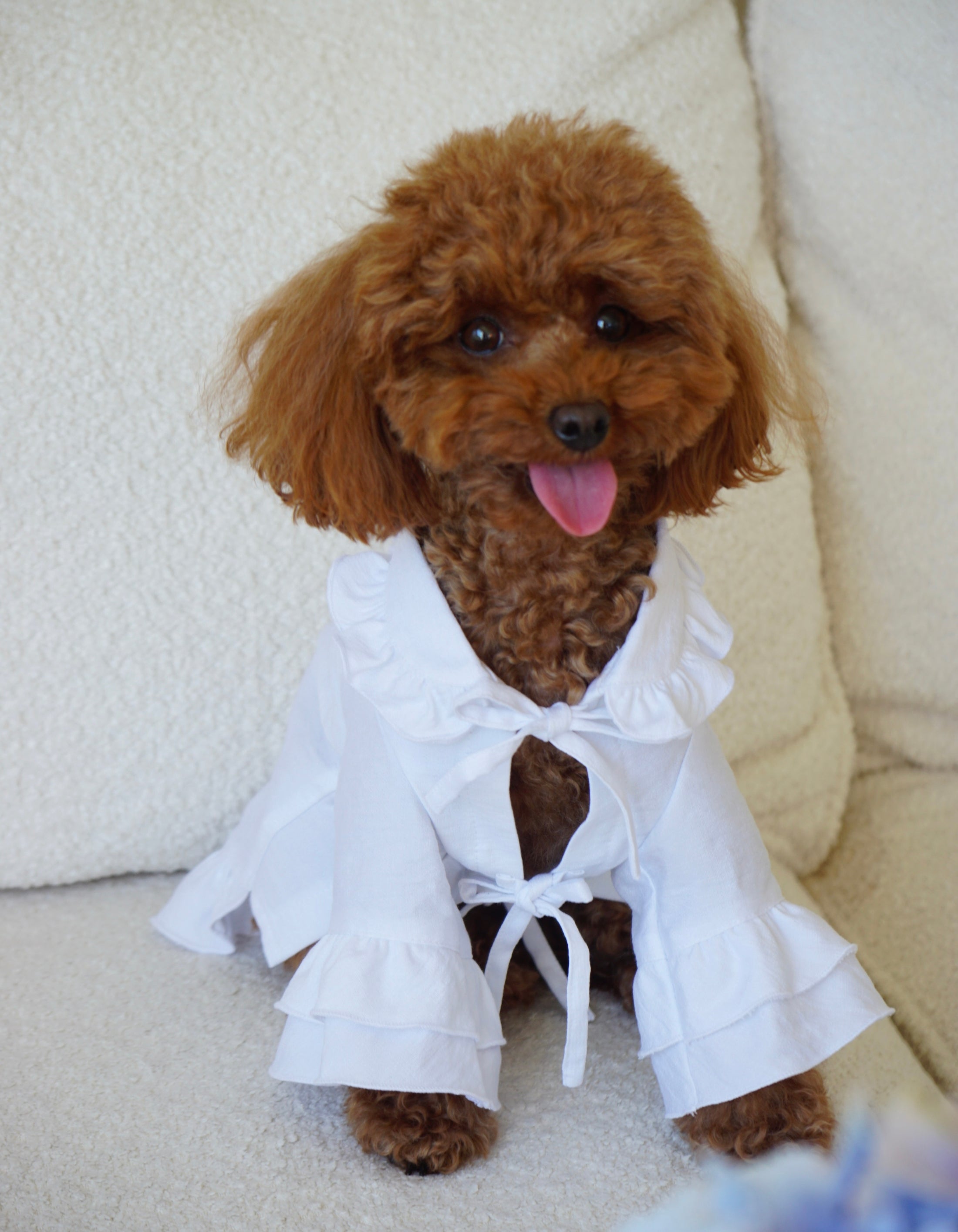 Linen dress with ruffles for dogs, white XXS, CHOUCHOÚ