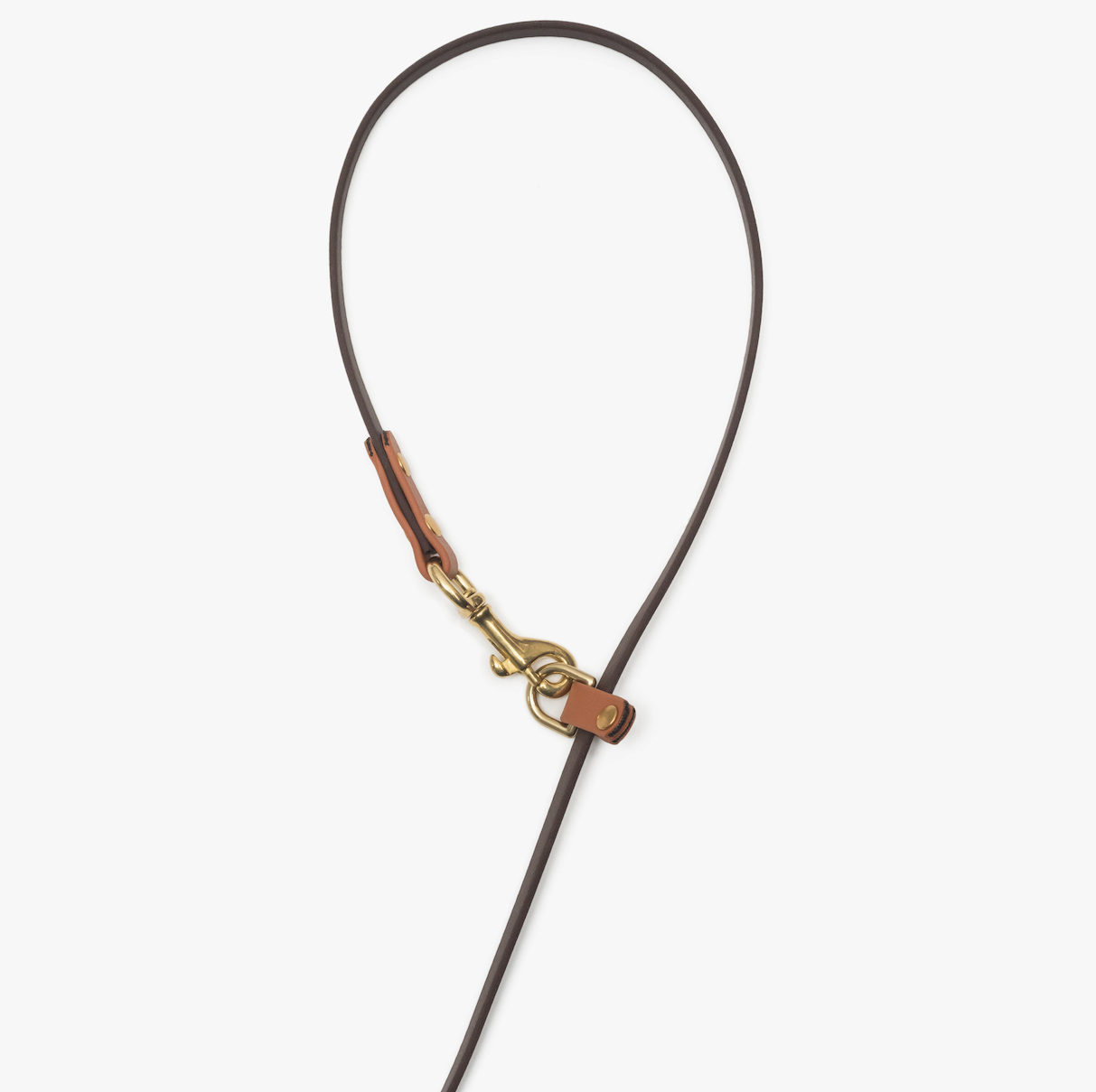 Waterproof BioThane®Hands-Free 3-in-1 Dog Leash – Dark Brown & Light Brown | CHOUCHOÚ®