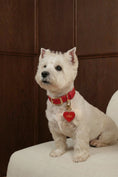 Load image into Gallery viewer, Personalized Dog ID Tags – Custom Engraved Name Tags | CHOUCHOÚ®
