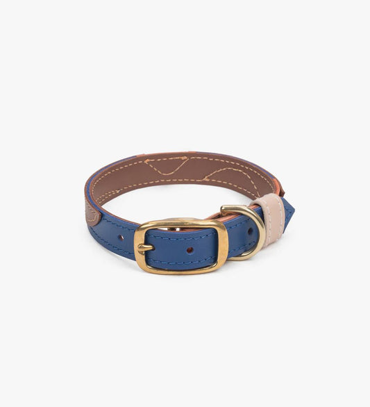 Chromatic colored leather dog collar, size XS, Chouchoú