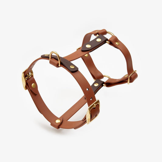 Waterproof BioThane® Dog Harness – Beta Collection, Light Brown & Dark Brown | CHOUCHOÚ®