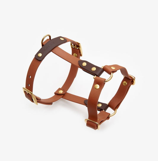 Waterproof BioThane® Dog Harness – Beta Collection, Light Brown & Dark Brown | CHOUCHOÚ®