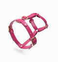 Bild in Galerie-Betrachter laden, Leather Dog Harness – Classy Collection | CHOUCHOÚ®
