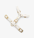 Bild in Galerie-Betrachter laden, Leather Dog Harness – Classy Collection | CHOUCHOÚ®
