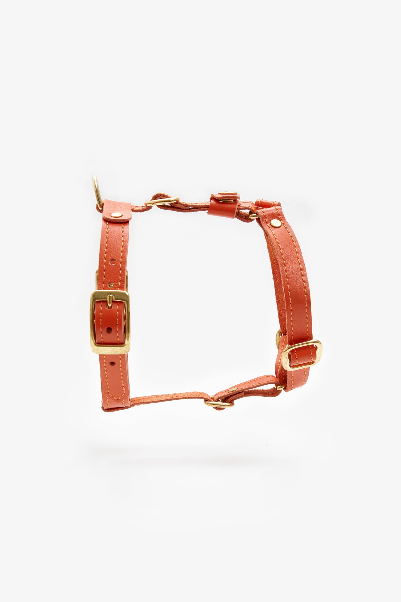 Leather Dog Harness – Classy Collection | CHOUCHOÚ®