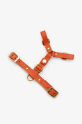Bild in Galerie-Betrachter laden, Leather Dog Harness – Classy Collection | CHOUCHOÚ®

