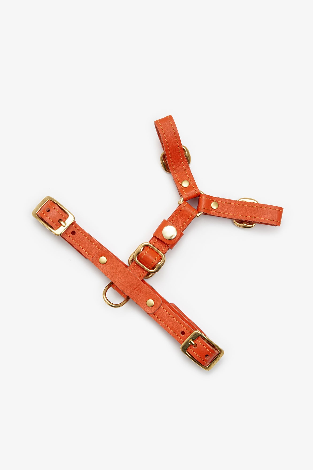 Leather Dog Harness – Classy Collection | CHOUCHOÚ®
