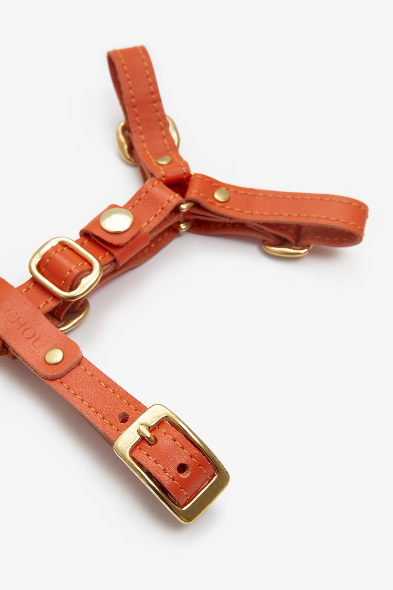 Leather Dog Harness – Classy Collection | CHOUCHOÚ®